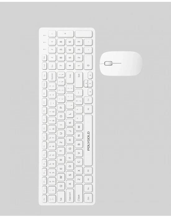 PG-8040 KLAVYE VE MOUSE SETİ