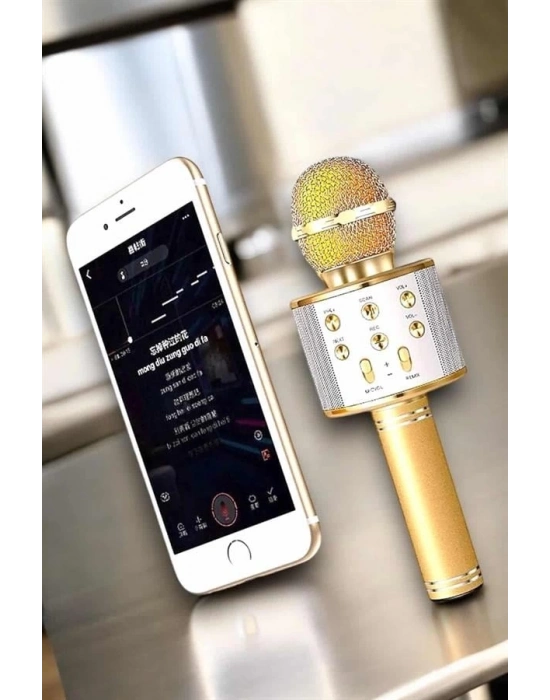 ® Şarjlı ve Uzun Pil Ömürlü Karaoke Mikrofon USB Bellek Destekli, Profesyonel Ses