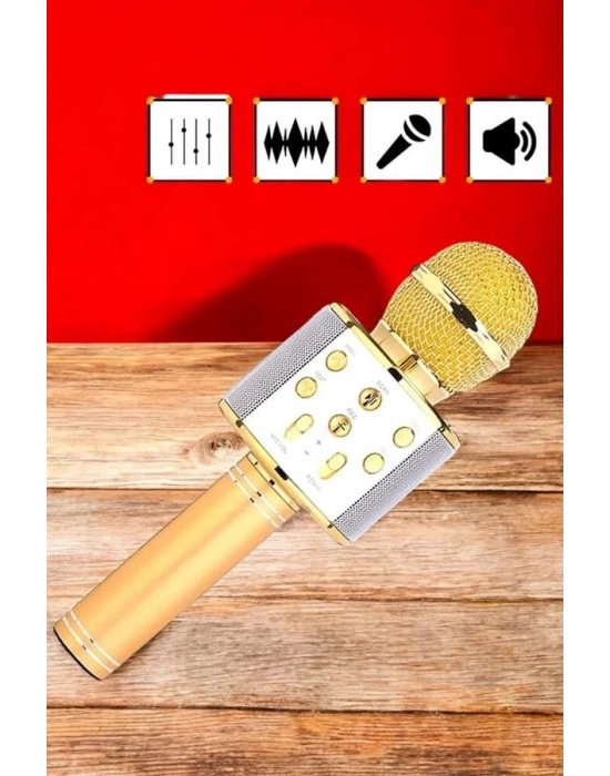 ® Şarjlı ve Uzun Pil Ömürlü Karaoke Mikrofon USB Bellek Destekli, Profesyonel Ses