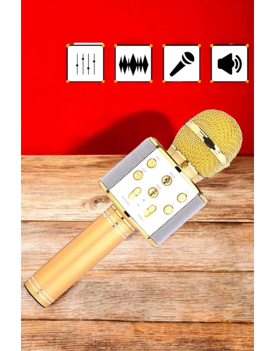 ® Şarjlı ve Uzun Pil Ömürlü Karaoke Mikrofon USB Bellek Destekli, Profesyonel Ses