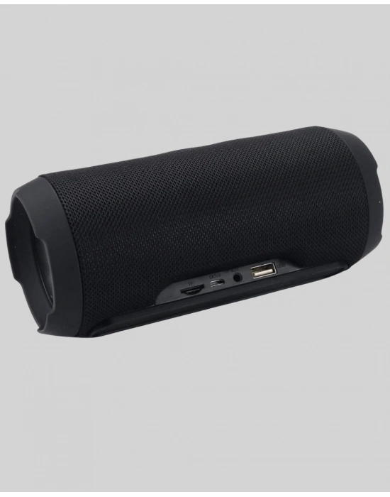 ® Taşınabilir Kablosuz Hoparlör 2 Woofer 2 Tweeter 12 Saat Oynatma