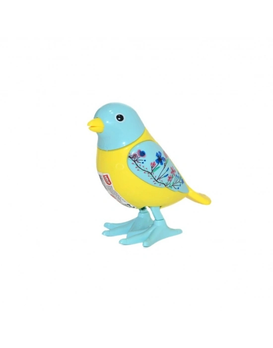 ® URT005-07 KURMALIGİLLER KUŞ