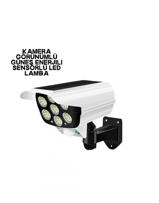 ® V070 SOLAR LAMBA