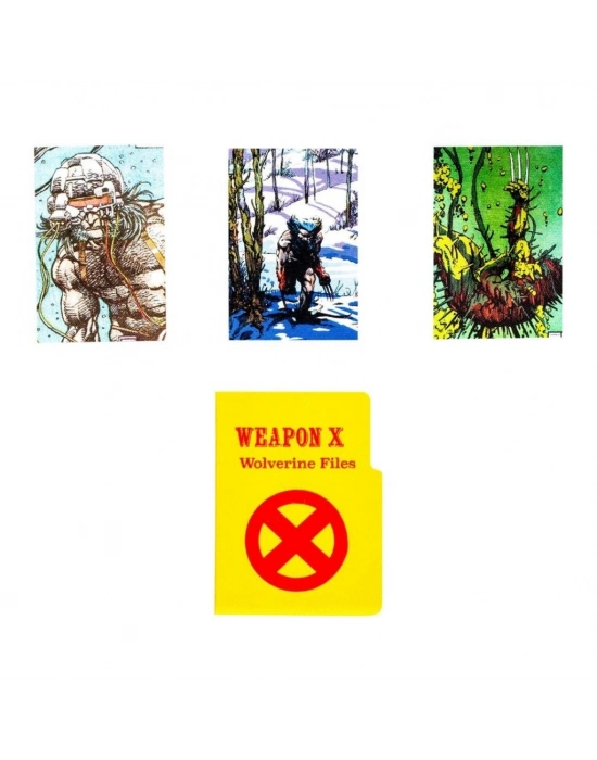 ® Wolverine Sabretootha Karşı