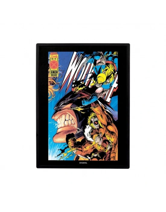 ® Wolverine Sabretootha Karşı