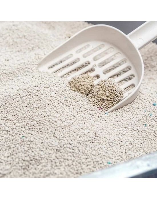 Biokats Micro Fresh Bahar Kokulu Topaklanan Doğal Kedi Kumu 1 Adet 6 Lt