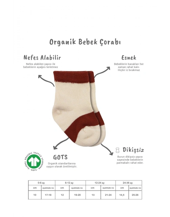 Bistyle 3Lü Penye Rainbow Soket Çorap BS10113 Kiremit