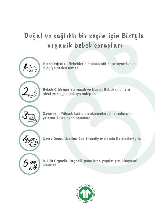 Bistyle 5li Penye Soket Kutulu Basic Çorap 10131 Pudra