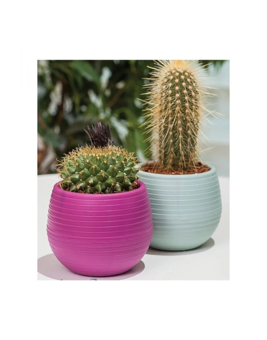 Bitki Ve Kaktüs Saksısı 0,13 Lt 1 No Royaleks-ES01