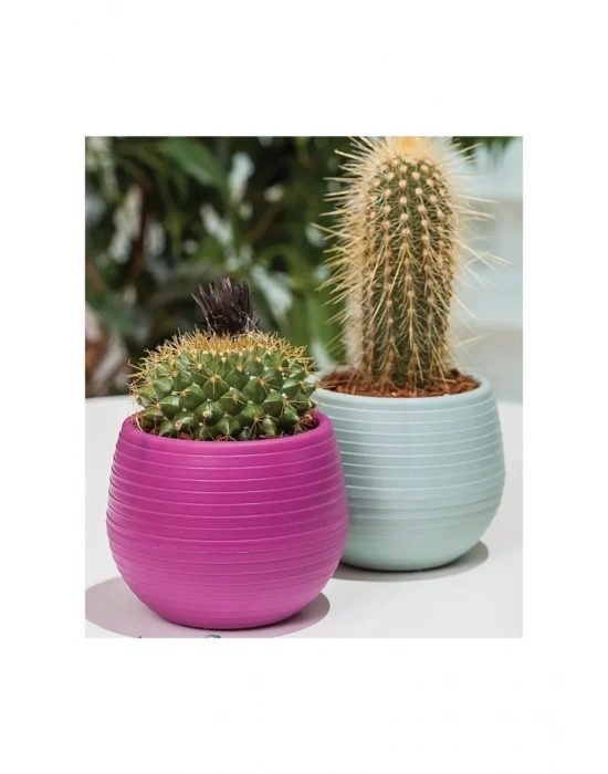 Bitki Ve Kaktüs Saksısı 0,13 Lt 1 No Royaleks-ES01