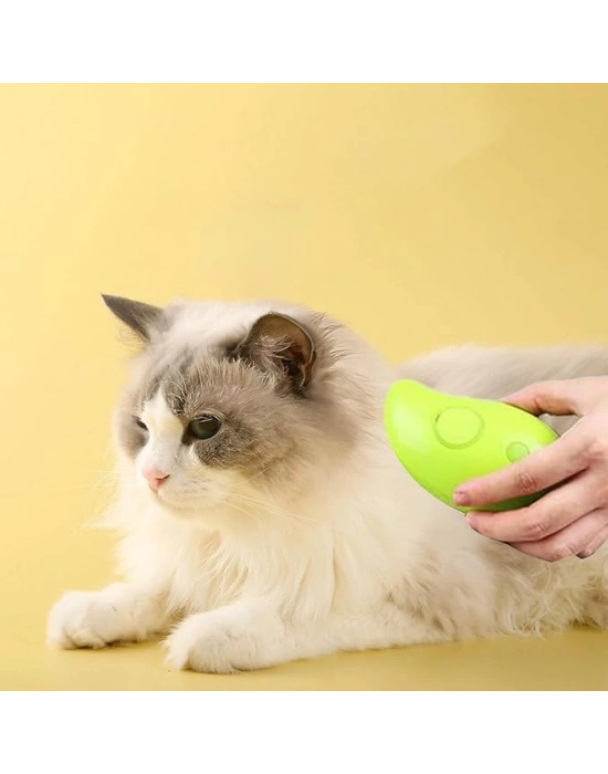 Buharlı Kedi Tarağı