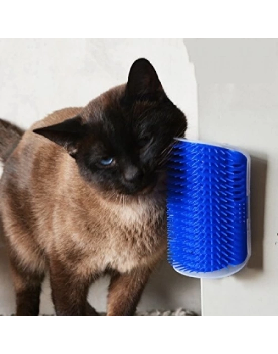 Cat It Kedi Kaşınma Aparatı