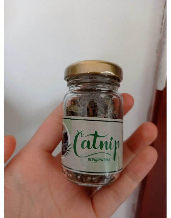 Catnip Doğal Kedi Otu - Kedi Nanesi