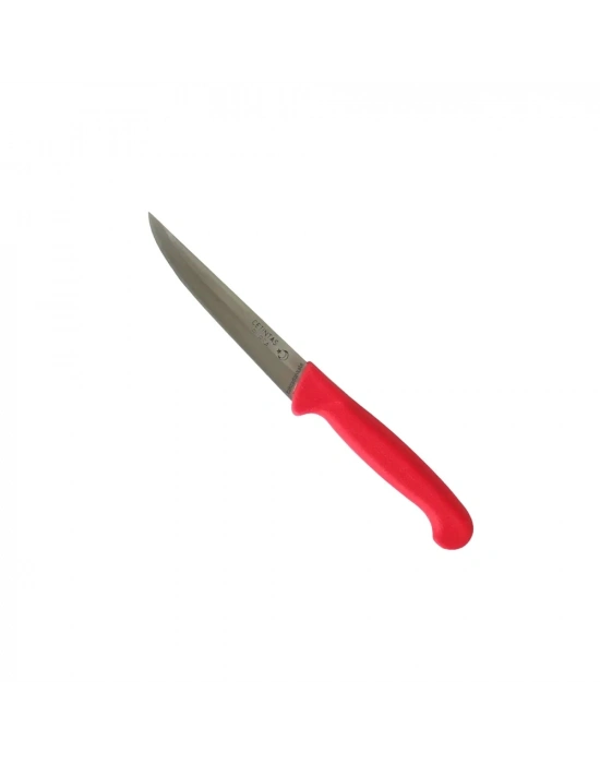 Çetintaş Paslanmaz Bursa Sebze Bıçağı 12 Cm, Plastik Sap