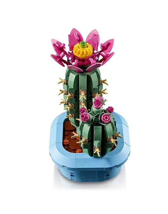 Çiçekli Kaktüs 11509