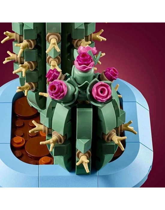 Çiçekli Kaktüs 11509