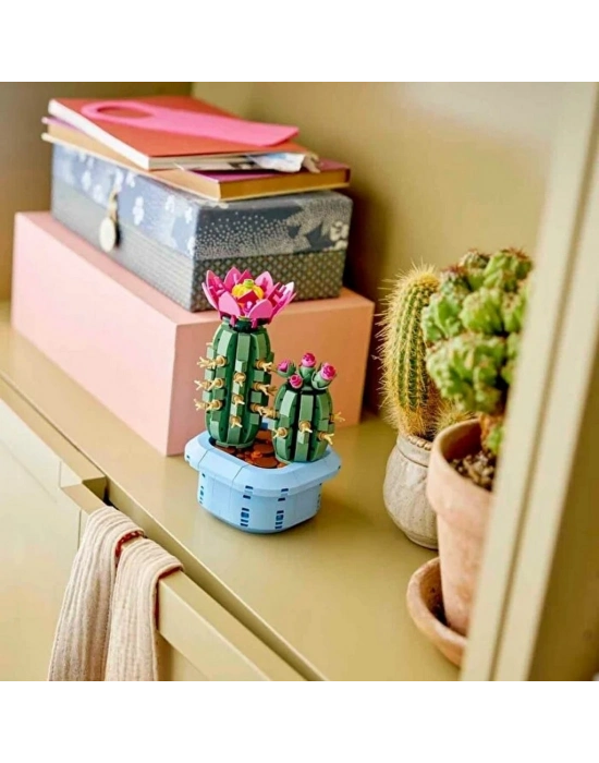 Çiçekli Kaktüs 11509