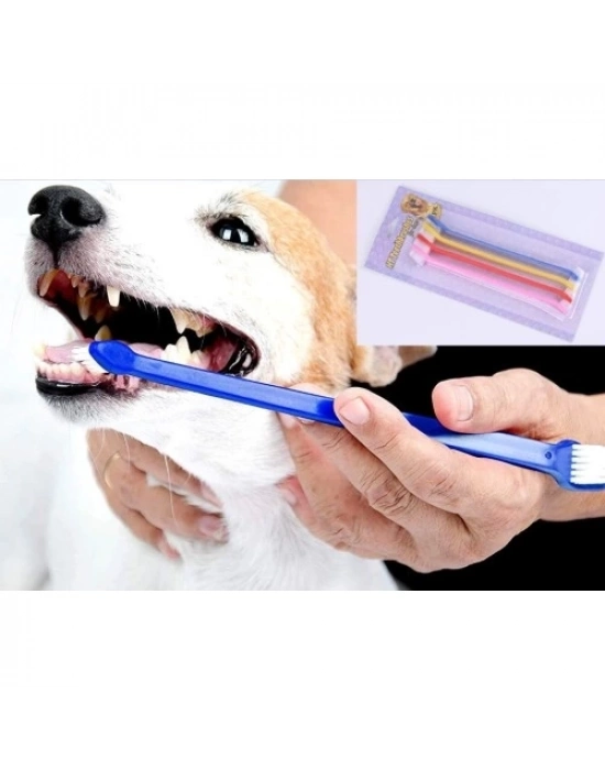 ÇIFT TARAFLI HAYVAN DIŞ FİRÇASI 4 LÜ SET