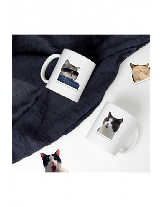 Çılgın Kediler Macbook Notebook Tablet Telefon Ajanda Laptop Defter Sticker Seti