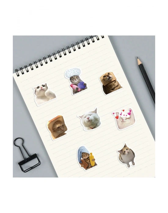 Çılgın Kediler Macbook Notebook Tablet Telefon Ajanda Laptop Defter Sticker Seti