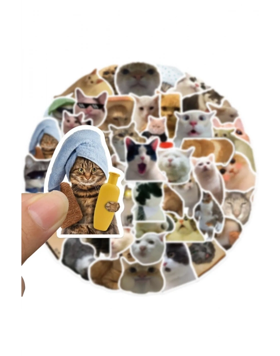 Çılgın Kediler Macbook Notebook Tablet Telefon Ajanda Laptop Defter Sticker Seti