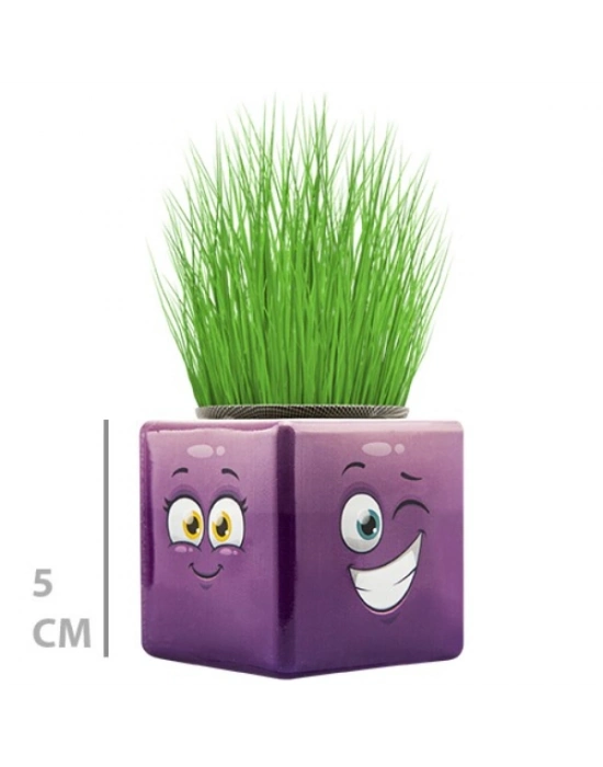 Çim Adam Mini Küp Emoji Figürlü 1 Adet