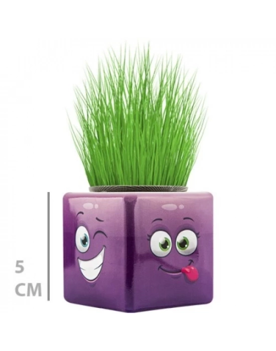 Çim Adam Mini Küp Emoji Figürlü 1 Adet