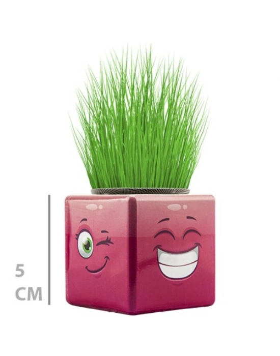 Çim Adam Mini Küp Emoji Figürlü 1 Adet