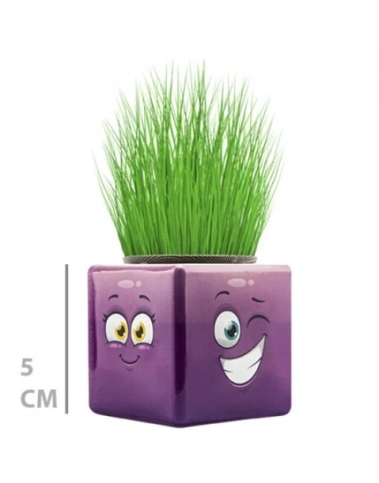 Çim Adam Mini Küp Emoji Figürlü 1 Adet