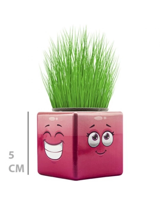 Çim Adam Mini Küp Emoji Figürlü 1 Adet