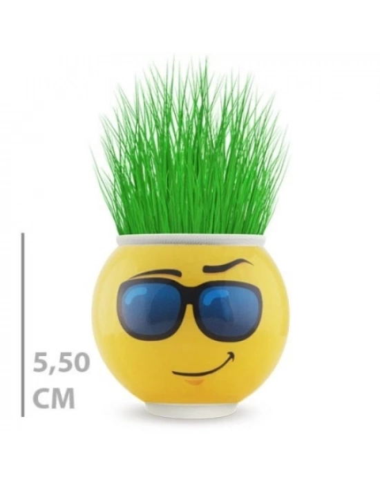 Çim Adam Saksı Emoji Figürlü 1 Adet