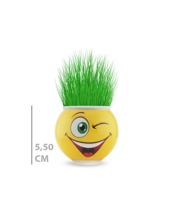 Çim Adam Saksı Emoji Figürlü 1 Adet