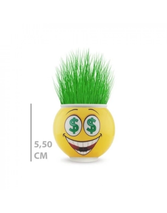 Çim Adam Saksı Emoji Figürlü 1 Adet