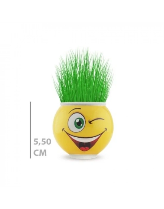 Çim Adam Saksı Emoji Figürlü 1 Adet