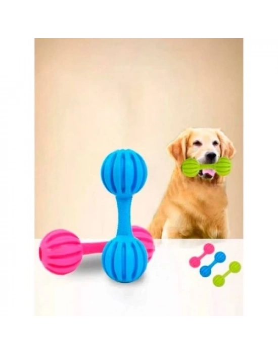 Çıngıraklı Evcil Hayvan Oyuncağı