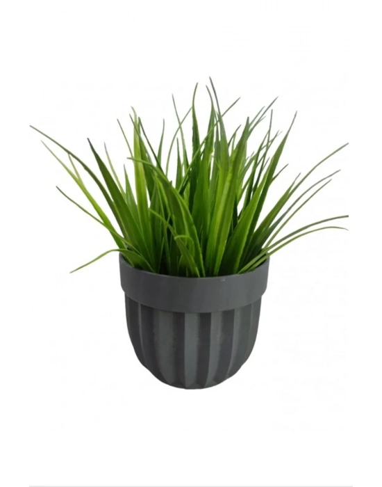 Çizgili Saksı Sazlı Çiçek Royaleks-5782