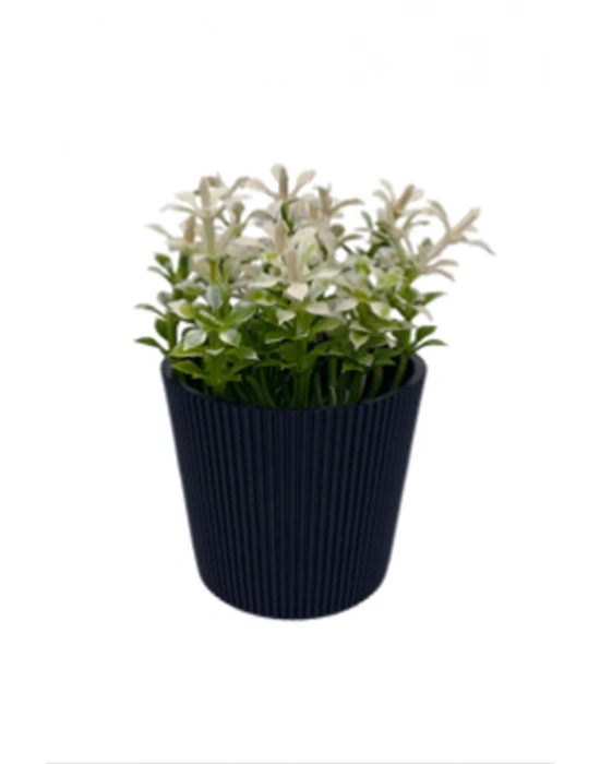 Çizgili Yuvarlak Saksı Çiçek Royaleks-5706