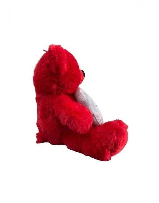 ÇOK SATAN 30 CM AY YILDIZ TEMALI AYICIK -HLY
