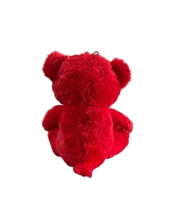 ÇOK SATAN 30 CM AY YILDIZ TEMALI AYICIK -HLY