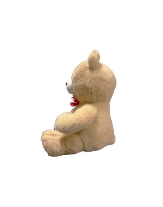ÇOK SATAN 35 CM PATİLEN KALPLİ AYI -HLY
