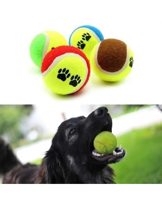 ÇOK SATAN 3lü Renkli Desenli Tenis Topu Kedi Köpek Oyuncağı