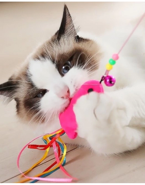 ÇOK SATAN Balıklı Kedi Oyun Oltası 90 Cm