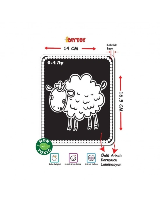 ® 1369 BEBEĞİMİN İLK ZEKA KARTLARI