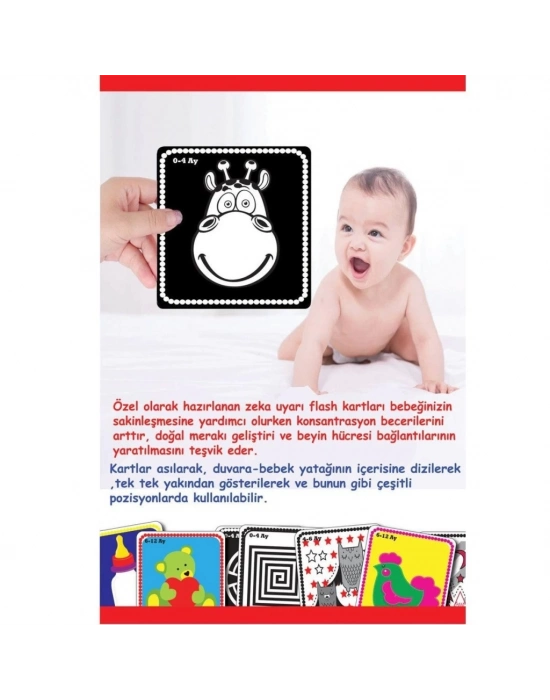 ® 1369 BEBEĞİMİN İLK ZEKA KARTLARI