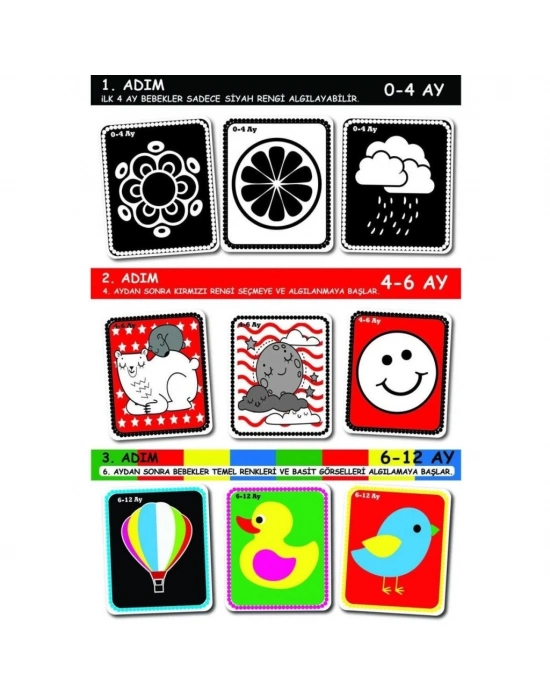 ® 1369 BEBEĞİMİN İLK ZEKA KARTLARI