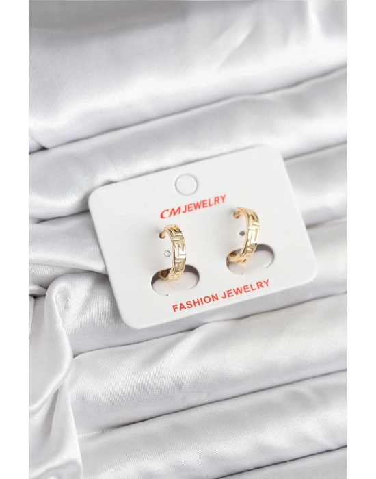 ® 14K Gold Renk Kaplama CM Kadın Küpe