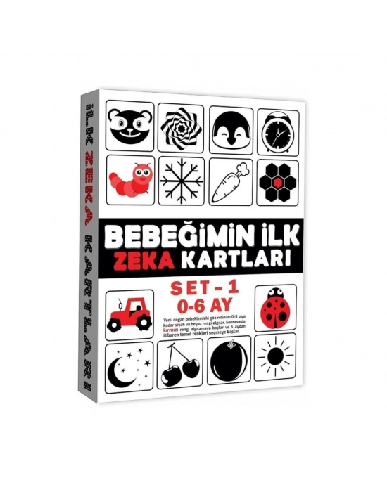 ® 2199 Eğitici Kartlar 0-6 Ay Zeka Kartları