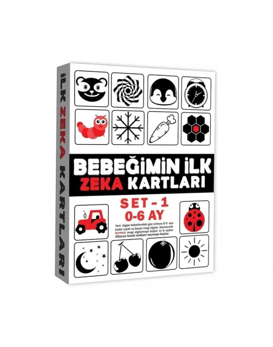 ® 2199 Eğitici Kartlar 0-6 Ay Zeka Kartları