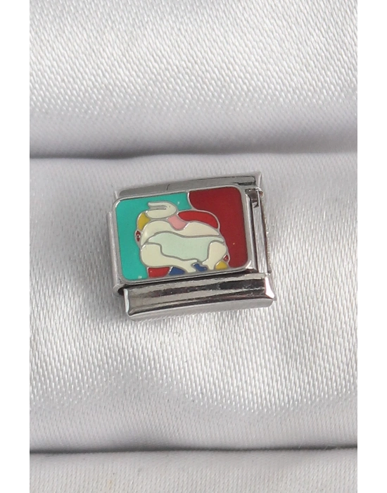 ® 316L Çelik Gümüş Renk Renkli Portre Model Nomination Charm