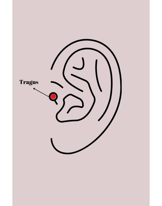 ® 316L Çelik Gümüş Renk Zirkon Taş Detay Beyaz Çiçek Model Tragus Piercing